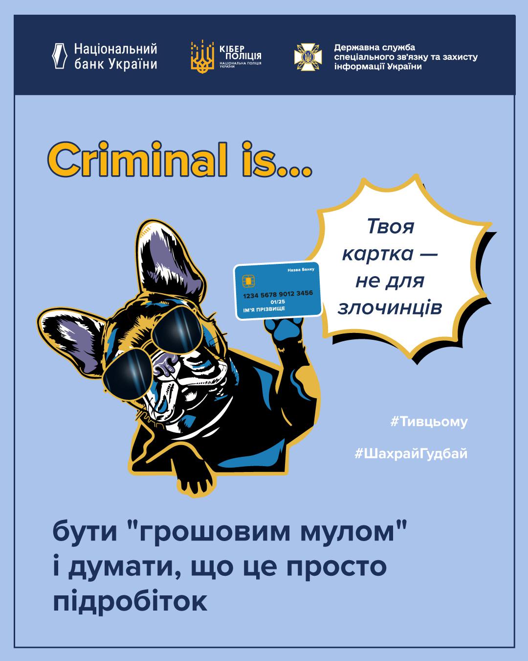 На світло-блакитному фоні зображено ілюстрацію з собакою та інформаційним текстом. У центрі зліва розміщене стилізоване зображення французького бульдога в сонцезахисних окулярах. Собака тримає в лапі синю банківську картку. Праворуч від собаки у білій фігурній хмаринці з жовтим контуром написано: Твоя картка — не для злочинців. Над хмаринкою розташований напис жовтими літерами: Criminal is... У нижній частині плаката розміщено великий темно-синій текст: бути грошовим мулом і думати, що це просто підробіток. Під хмаринкою вказані хештеги: Тивцьому та ШахрайГудбай. У самому верху зображення на темно-синій смузі розміщені логотипи трьох установ: Національного банку України, Кіберполіції та Державної служби спеціального зв’язку та захисту інформації України.