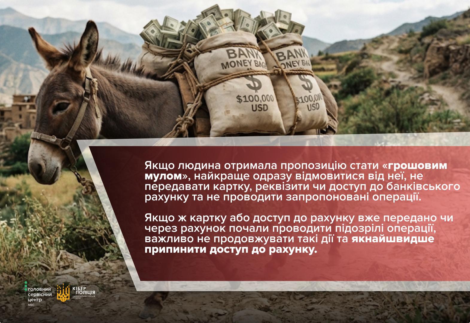 Інформаційне зображення з гірським пейзажем на тлі, у верхній частині якого зображено ослика (мула), що несе на спині великі тканині мішки з написом BANK MONEY BAG $100,000 USD, із яких виглядають пачки грошей. Нижня частина зображення перекрита плашкою бордово-коричневого кольору з білою геометричною окантовкою, на якій білим шрифтом розміщено текст із рекомендаціями. У першому абзаці радять відмовлятися від пропозицій стати «грошовим мулом» і не передавати картку, реквізити чи доступ до рахунку. У другому абзаці зазначається, що у разі передачі картки або виявлення підозрілих операцій необхідно якнайшвидше припинити доступ до рахунку. У лівому нижньому кутку розташовано білі логотипи Головного сервісного центру МВС та Кіберполіції Національної поліції України.